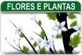 Flores e Plantas